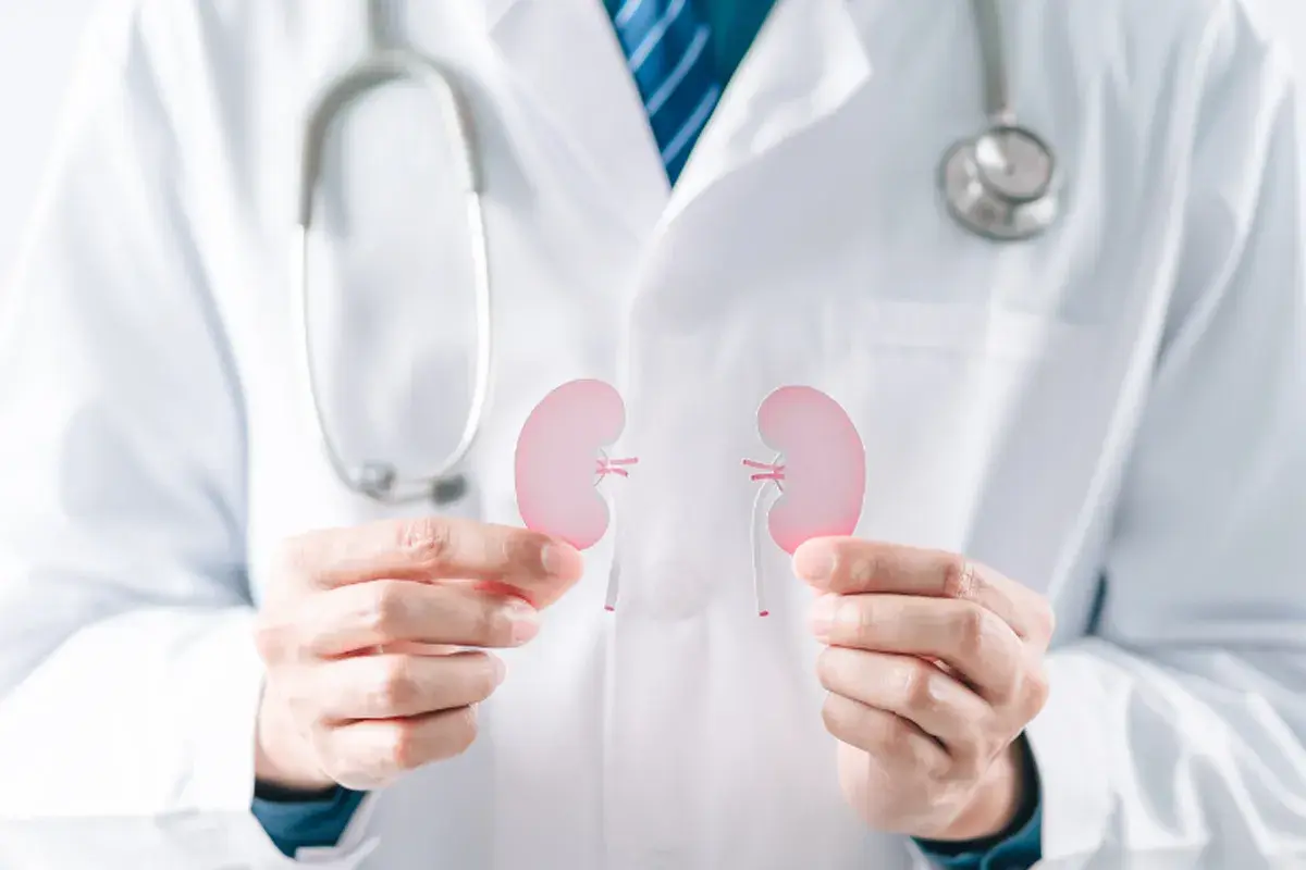 Things to Know About Chronic Kidney Disease – Symptoms, Diagnosis & Treatment