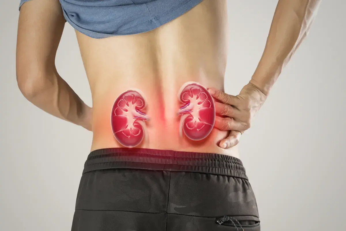 Man holding his lower back with highlighted kidneys showing pain