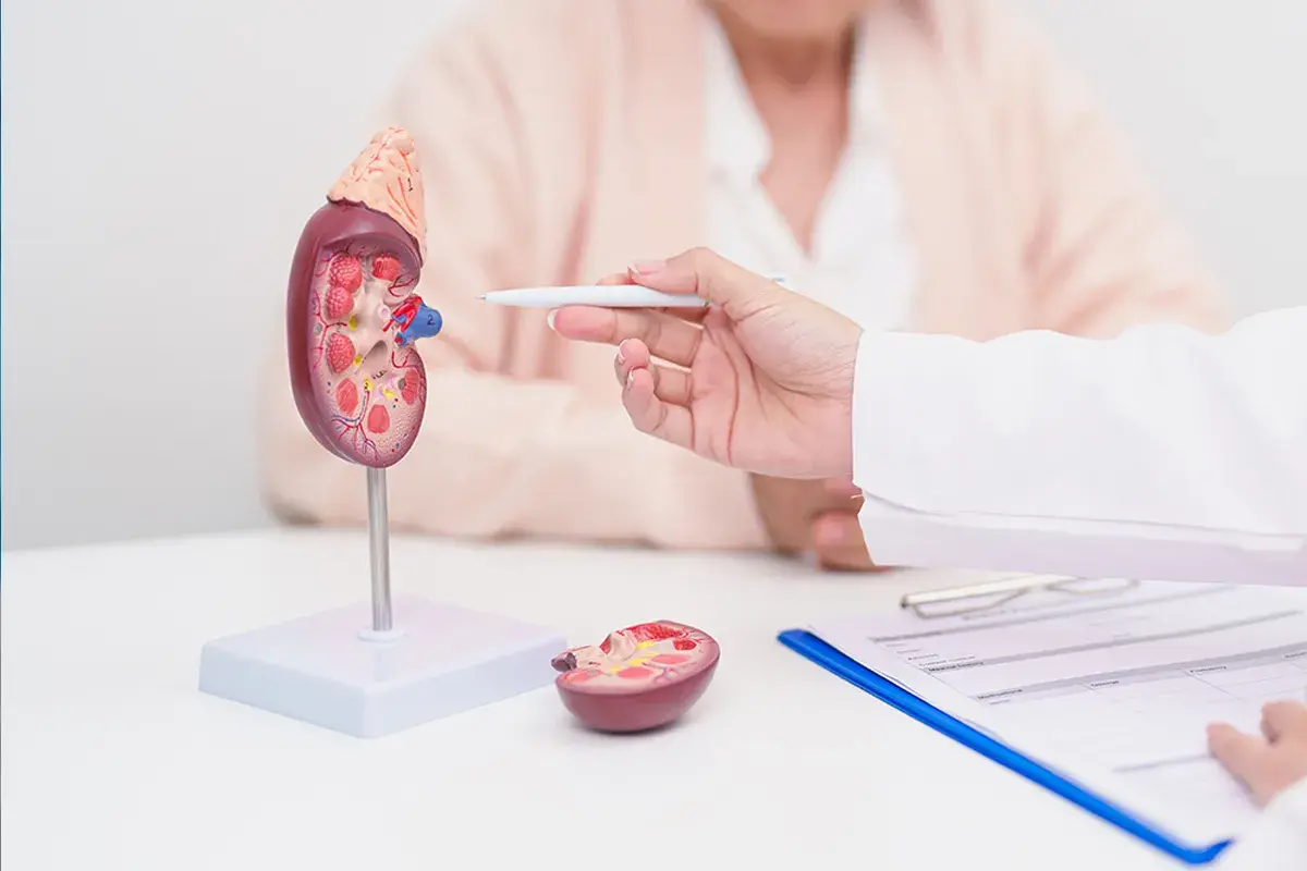Kidney Dialysis Treatment: What to Expect