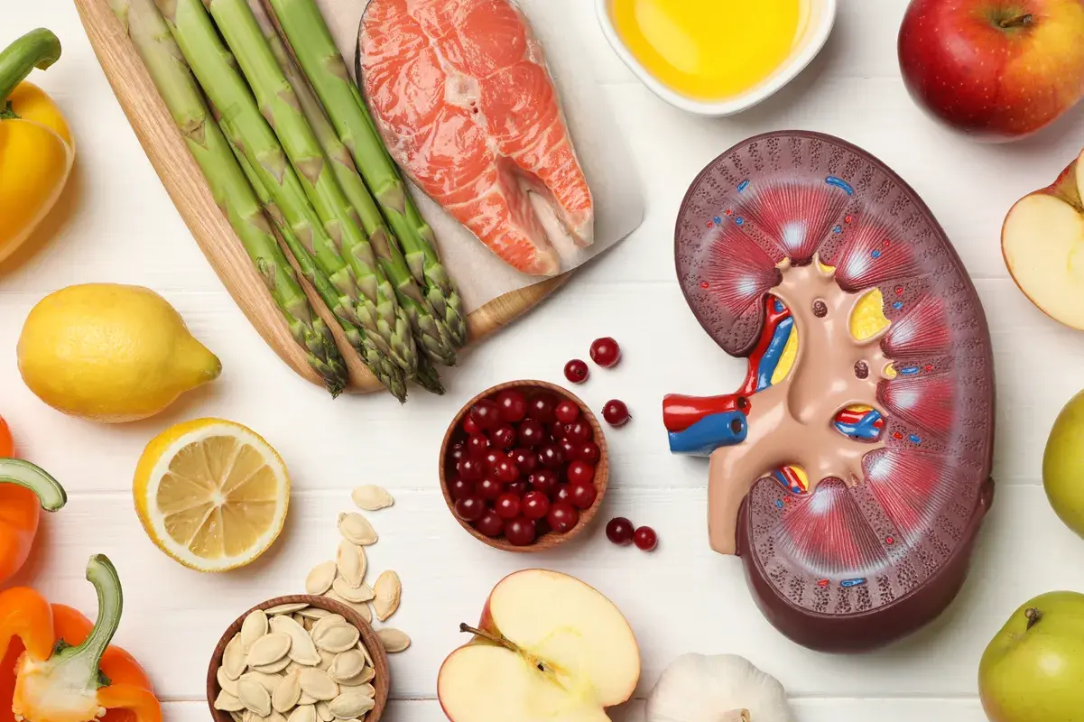 Flatlay of healthy foods for renal health with a kidney cross-section