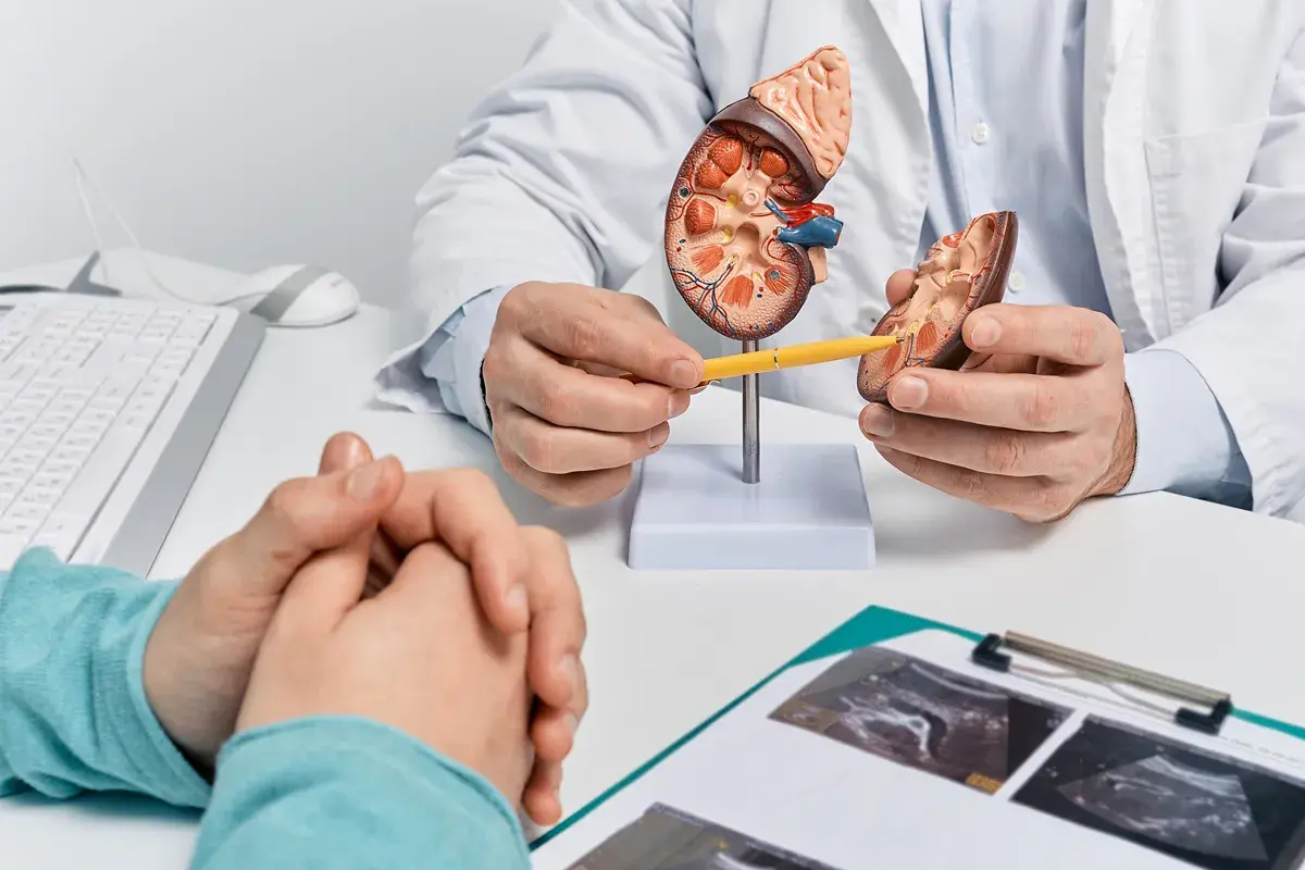 How to Prepare for Your First Nephrologist Appointment