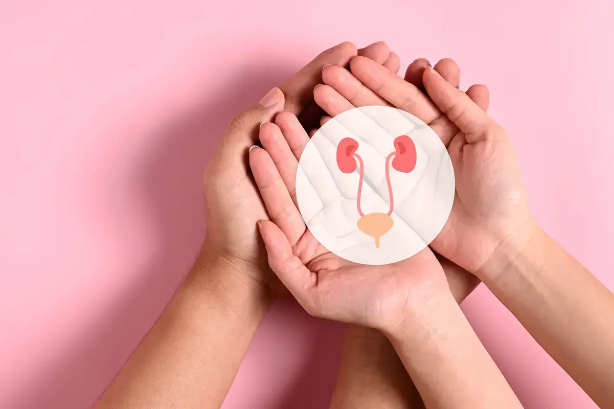 Two pairs of hands cupping a kidney graphic
