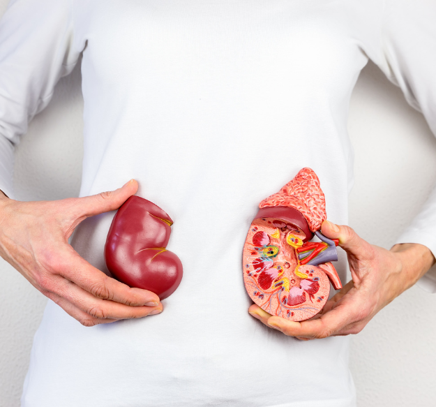 Chronic kidney disease symptoms