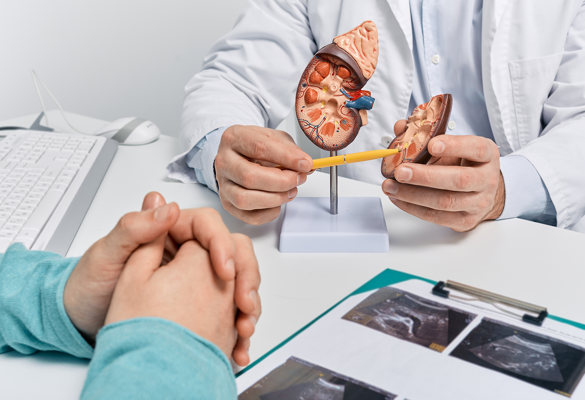 How to Prepare for Your First Nephrologist Appointment
