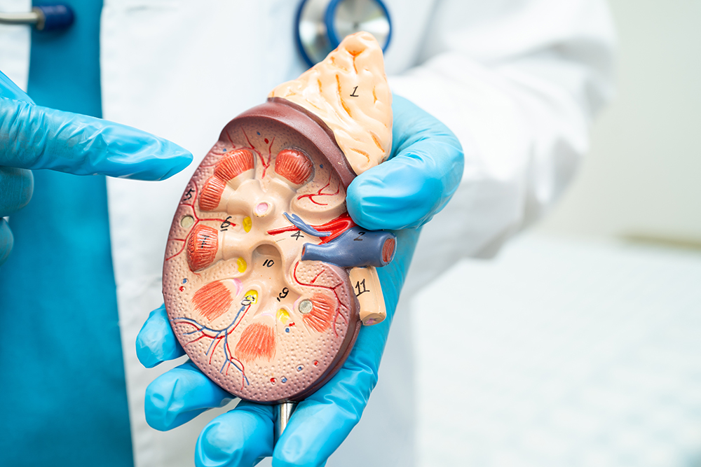 Seeking Specialist Care for Haematuria