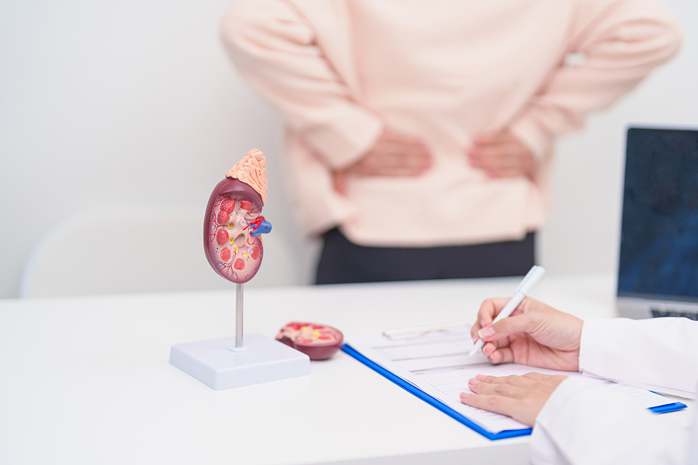 A doctor providing a consultation for a patient’s kidney issues