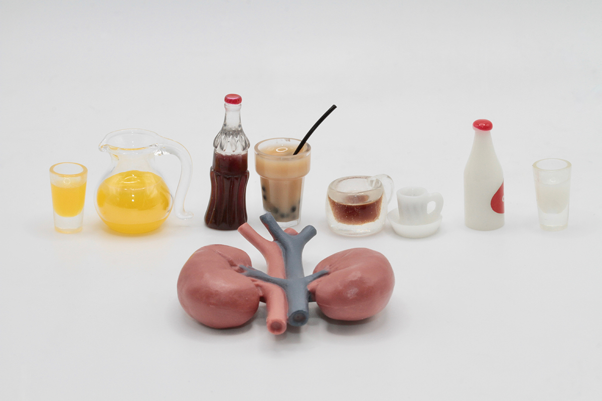 A model of the kidneys next to common food items